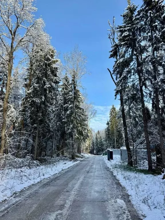 Участок в Московская область, Дмитровский муниципальный округ, д. ... - Фото 1