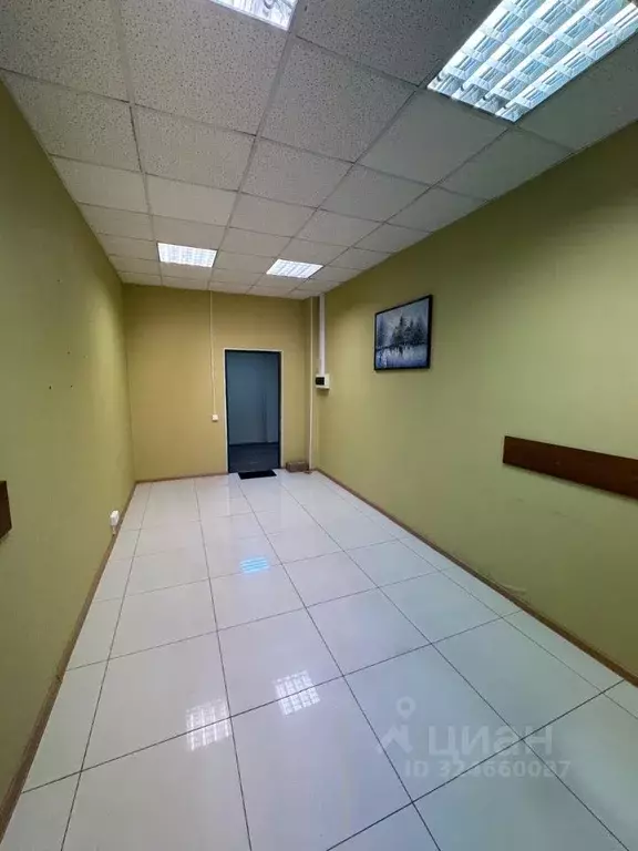 Офис в Воронежская область, Воронеж Никитинская ул., 42 (18 м) - Фото 2