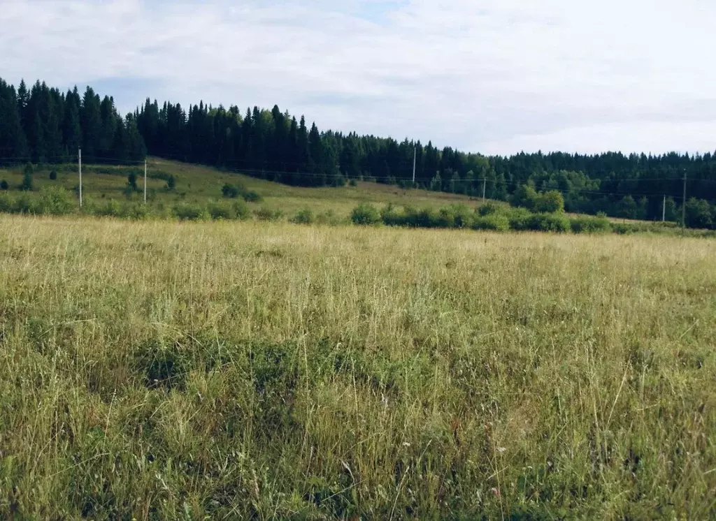 Участок в Пермский край, Ильинский городской округ, д. Коршуны  (30.0 ... - Фото 1