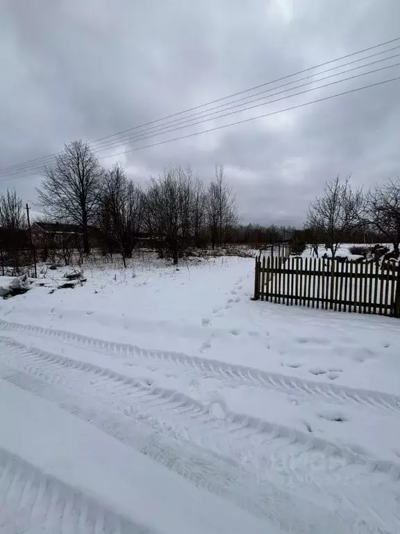 Участок в Ярославская область, Большесельский муниципальный округ, д. ... - Фото 2