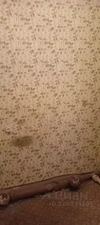 Помещение свободного назначения в Курганская область, Курган Тобольная ... - Фото 2