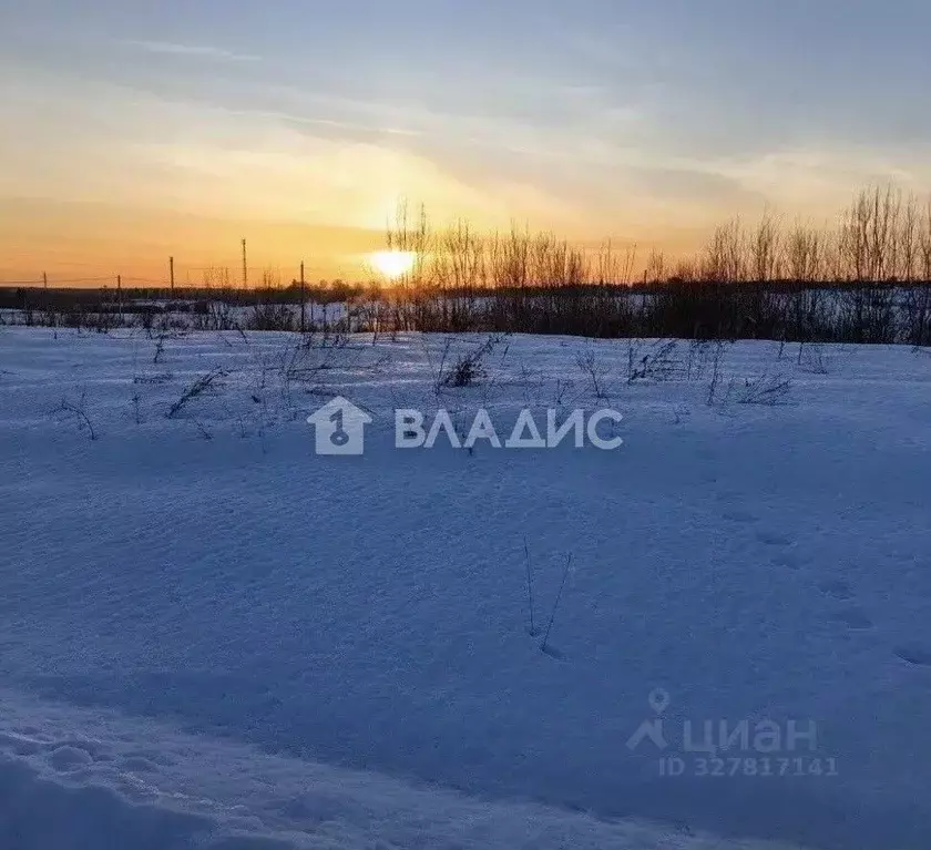 Участок в Бурятия, Кабанский район, с. Сухая Байкальская ул., 15 (64.0 ... - Фото 2