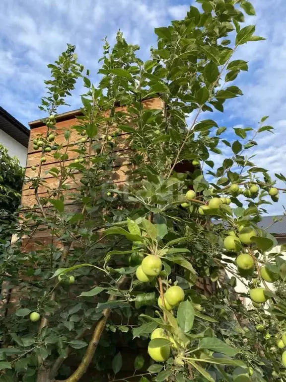 Дом в Иркутская область, Иркутский муниципальный округ, пос. Новая ... - Фото 0