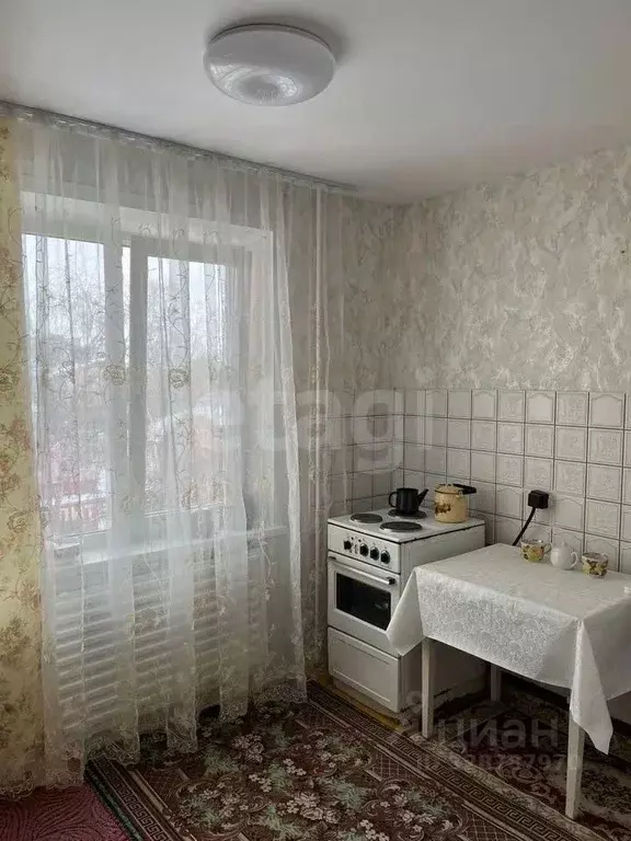 1-к кв. Алтайский край, Барнаул ул. Юрина, 202/34 (32.5 м) - Фото 2