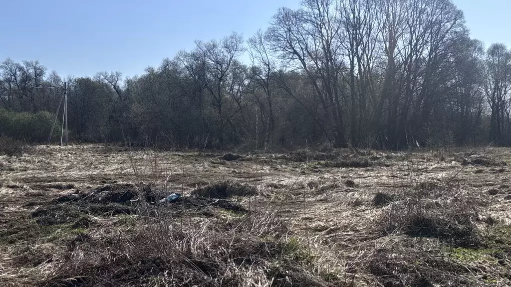 Участок в Московская область, Клин городской округ, д. Орлово ул. ... - Фото 1