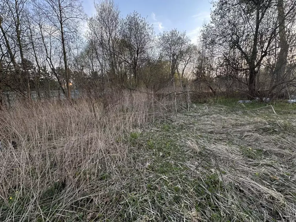 Участок в Московская область, Наро-Фоминский городской округ, Лубянка ... - Фото 0