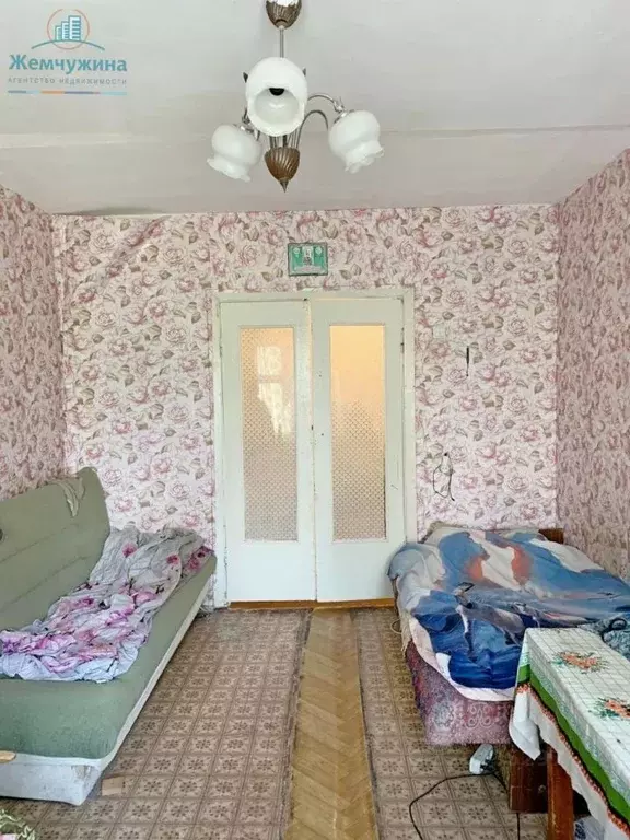 2-к кв. Ульяновская область, Димитровград ул. Курчатова, 42 (51.0 м) - Фото 2