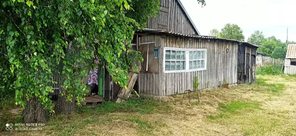 Авито курья алтайский. Курья Курьинский район Алтайский край ул Локтевская 2а. Пермь в.Курья фото. Куплю дом в Колывани Курьинского района.