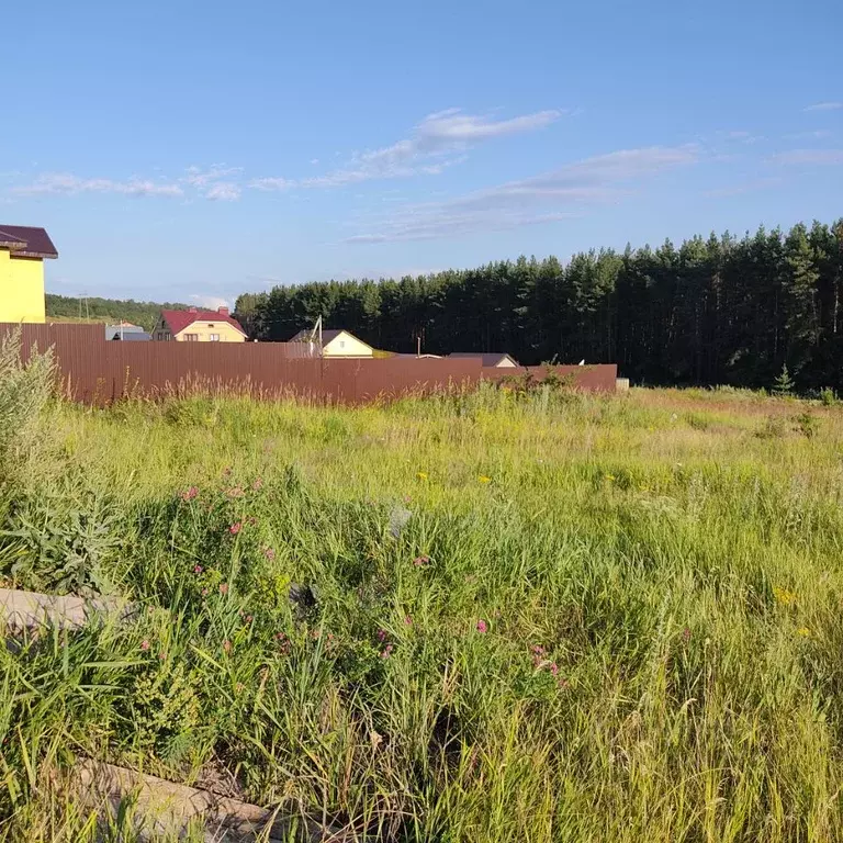 Участок в Ульяновская область, Ульяновский район, с. Большие Ключищи  ... - Фото 1