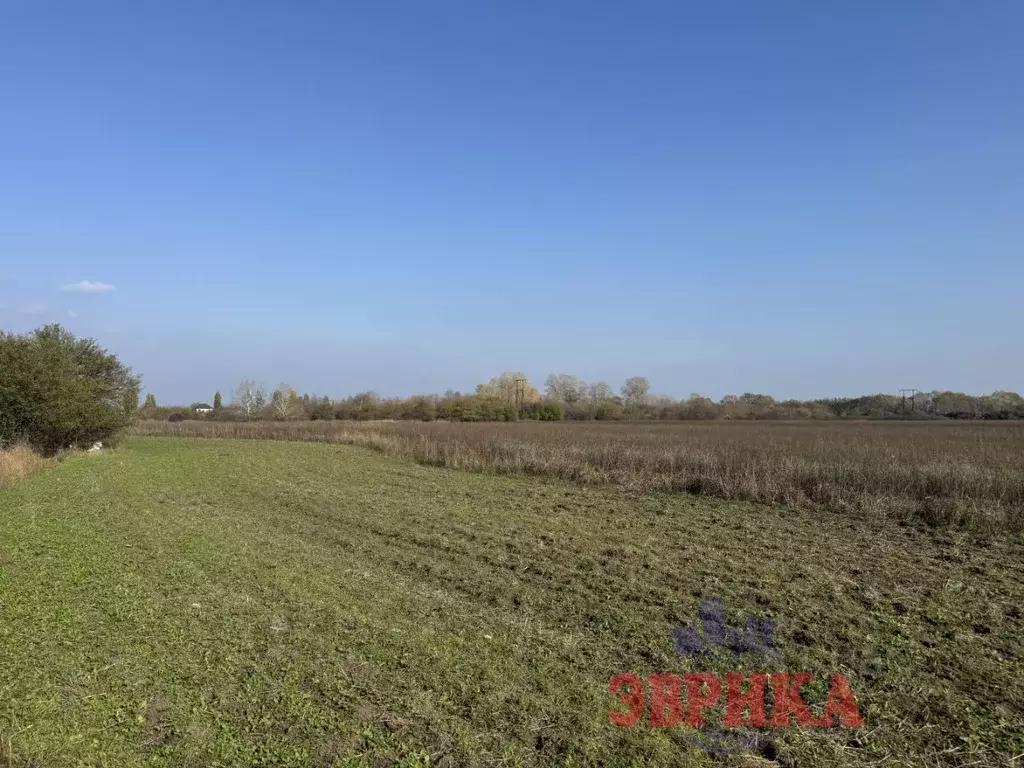 Участок в Краснодарский край, Крымск  (2200.0 сот.) - Фото 1