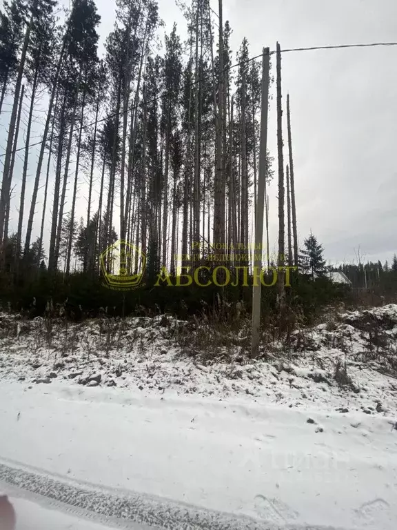 Участок в Свердловская область, Ревда  (10.0 сот.) - Фото 2