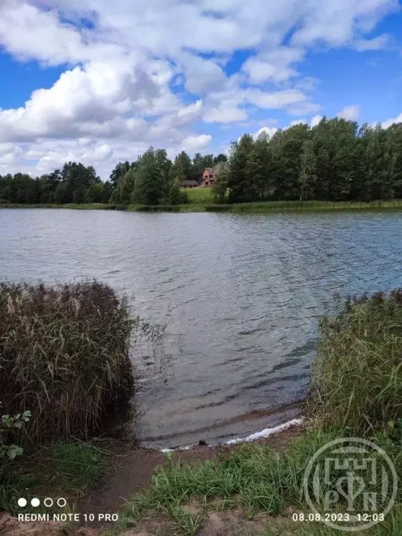 Участок в Ленинградская область, Лужский район, Серебрянское с/пос, д. ... - Фото 1