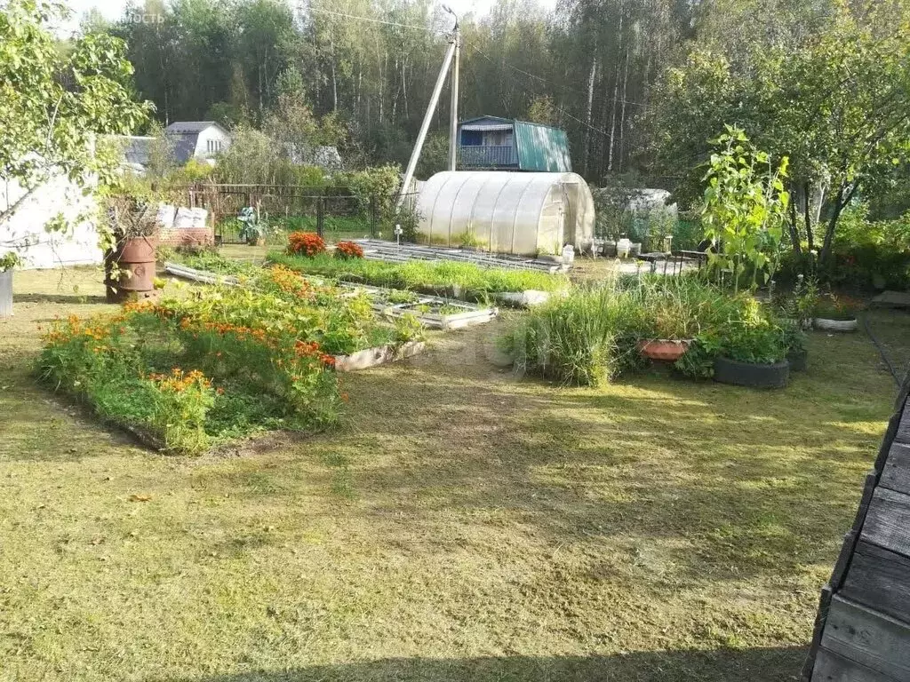 Дом в Ярославский муниципальный округ, СНТ Холод (24 м) - Фото 1