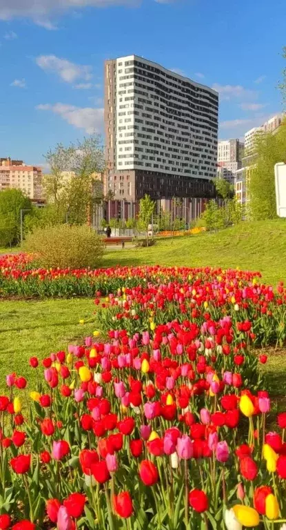 2-к кв. Москва пос. Коммунарка, ул. Сосенский Стан, 17 (45.0 м) - Фото 1