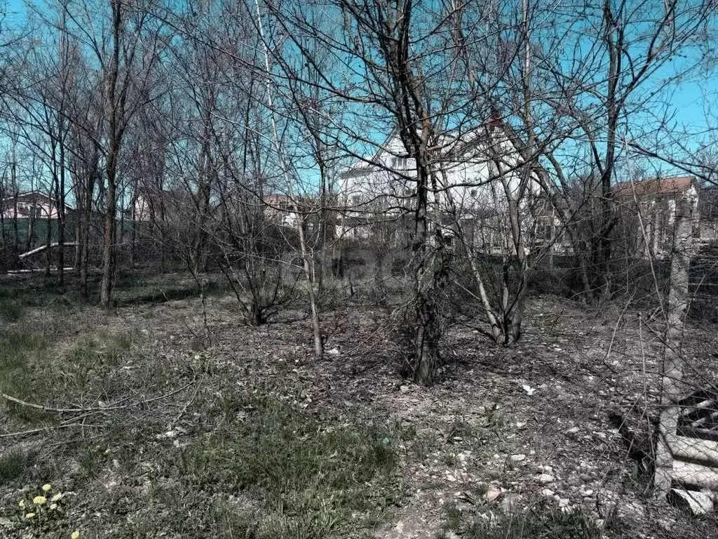 Участок в Крым, Симферопольский район, Чистенское с/пос, Родничок СПК  ... - Фото 1