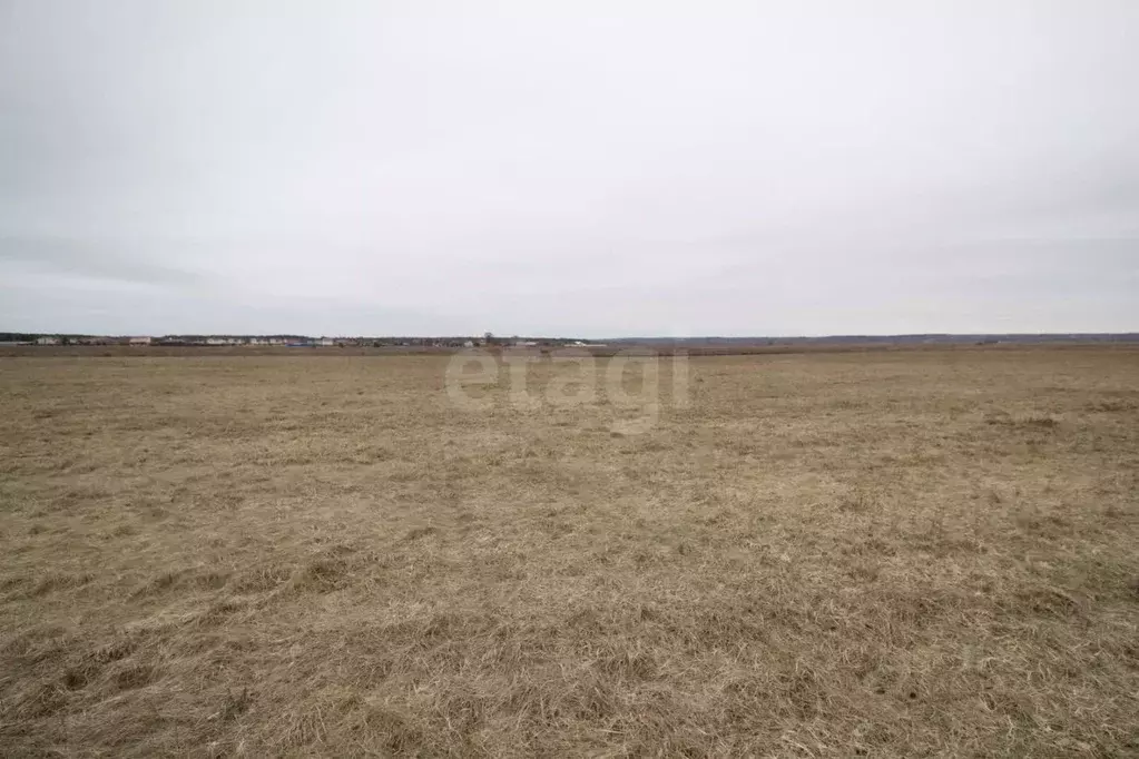 Участок в Калужская область, Дзержинский муниципальный округ, с. ... - Фото 1
