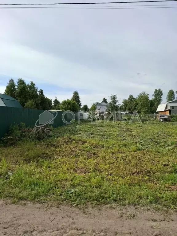 Участок в Тюменская область, Нижнетавдинский муниципальный округ, ... - Фото 1