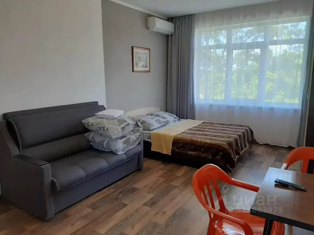 1-к кв. Краснодарский край, Сочи ул. Ватутина, 23В (25.0 м) - Фото 0