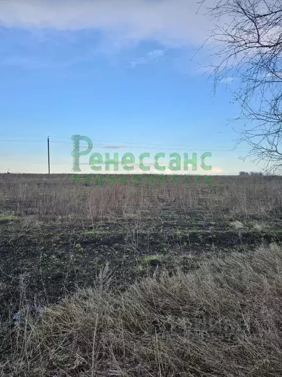 Участок в Брянская область, Брянский район, Глинищевское с/пос, д. ... - Фото 2