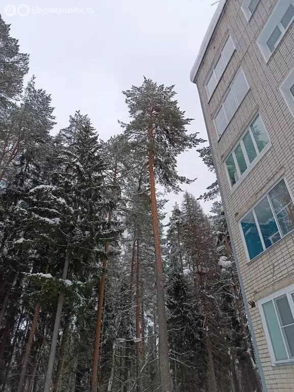 2-комнатная квартира: посёлок Сосновый Бор, 1 (51.4 м) - Фото 1