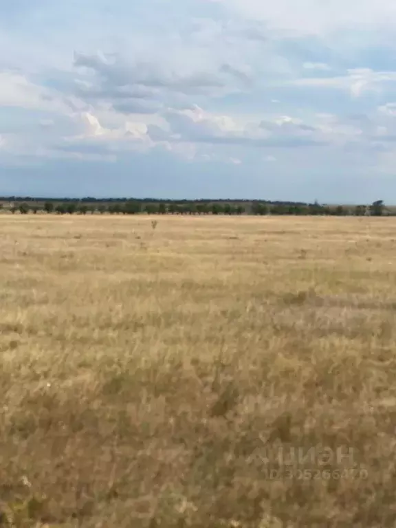 участок в крым, симферопольский район, николаевка пгт ул. советская . - Фото 1