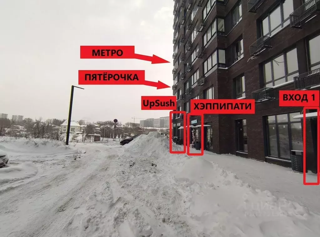 Помещение свободного назначения в Москва просп. Прокшинский, 7 (25 м) - Фото 2