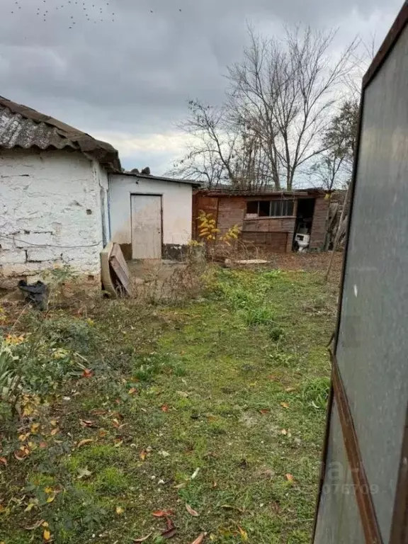 1-к кв. Крым, Сакский район, Митяевское с/пос, с. Шелковичное ул. ... - Фото 2