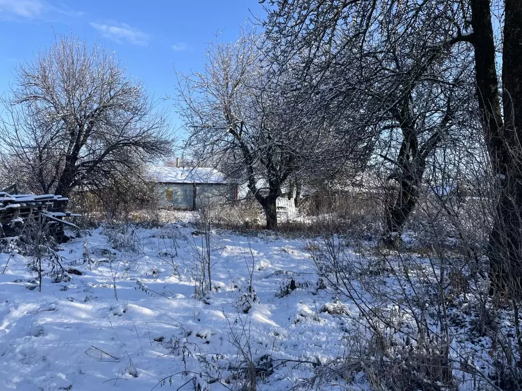 Участок в Воронежская область, Бобровский район, Хреновское с/пос, с. ... - Фото 2