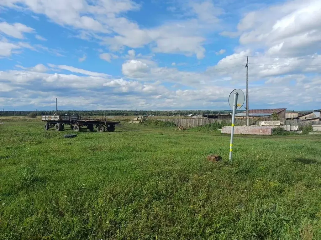 Участок в Красноярский край, Сухобузимский район, с. Шила ул. Ленина ... - Фото 1