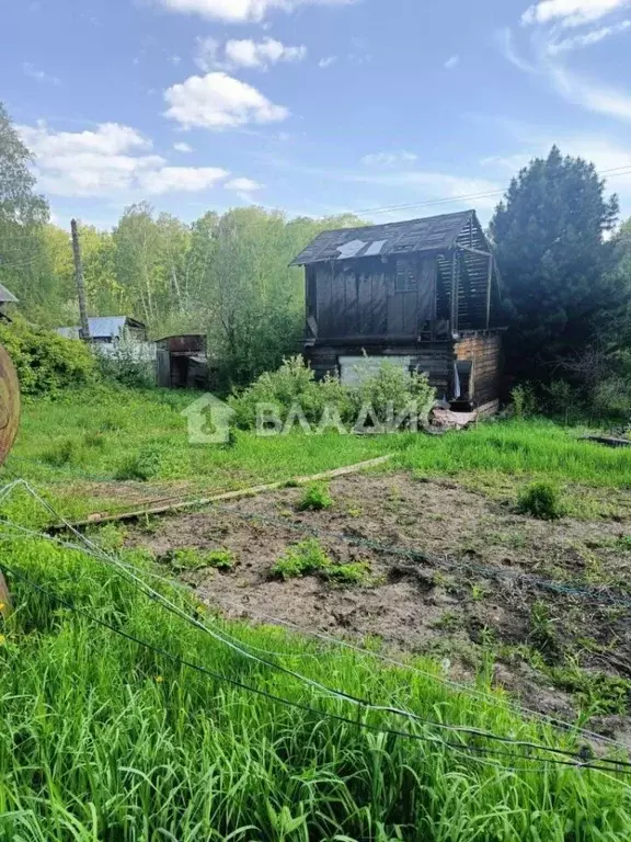 Участок в Новосибирская область, Новосибирск Садовод-Мичуринец СНТ, ... - Фото 1