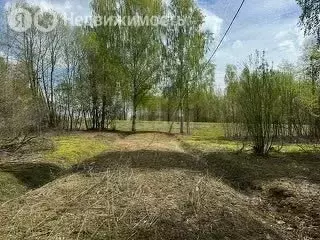 Участок в Московская область, городской округ Клин, деревня Богаиха (9 ... - Фото 0