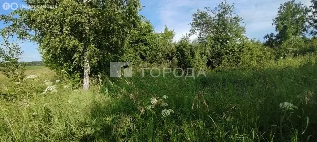 Участок в Санниково, микрорайон Мирный, 2 (15 м) - Фото 1