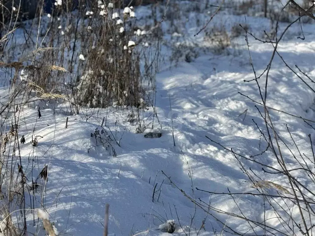 Участок в Белгородская область, Белгородский район, Дубовское с/пос, ... - Фото 1