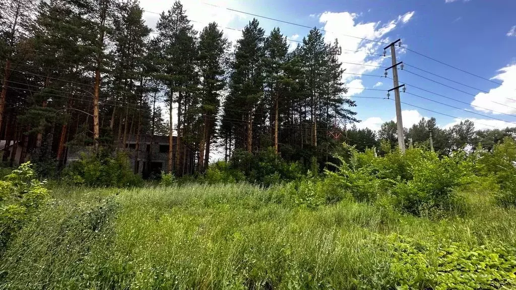 Участок в Оренбургская область, Оренбургский район, с. Нежинка ул. ... - Фото 1