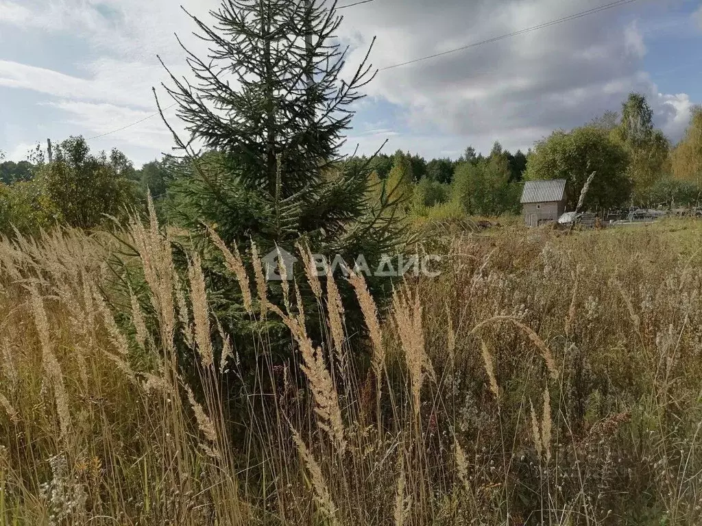 Участок в Владимирская область, Судогодский район, д. Бараки ул. ... - Фото 2