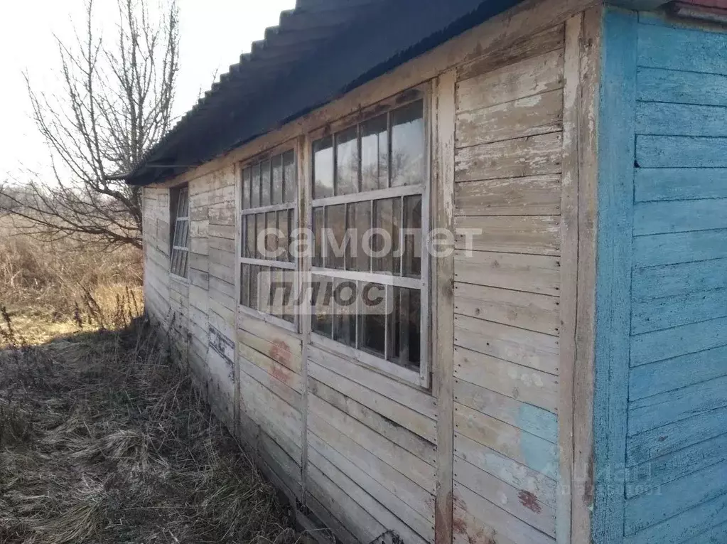 Дом в Курская область, Железногорский район, Волковский сельсовет, ... - Фото 0