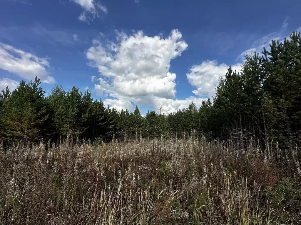 Участок в Свердловская область, Белоярский муниципальный округ, пос. ... - Фото 2