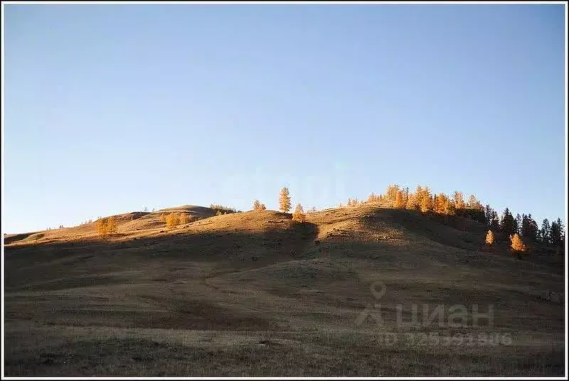 Участок в Алтай, Улаганский район, с. Улаган ул. Петра Сухова (17.5 ... - Фото 1
