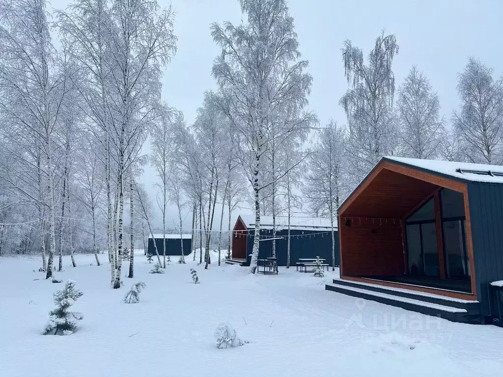 Дом в Московская область, Орехово-Зуевский городской округ, Песчаная ... - Фото 2