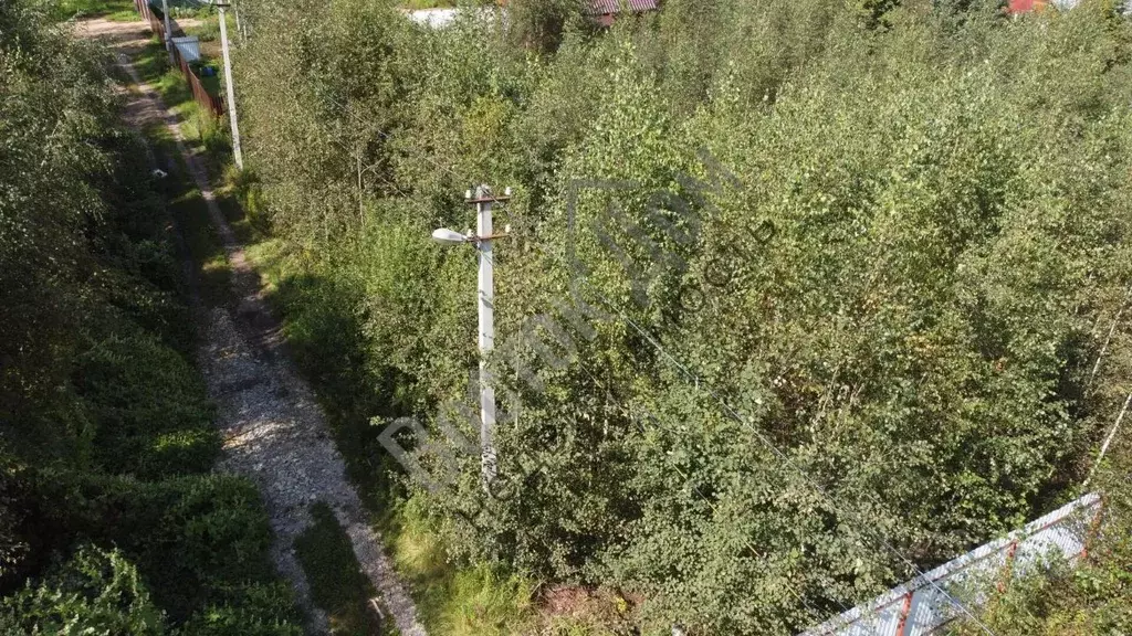 Участок в Московская область, Богородский городской округ, имени ... - Фото 1