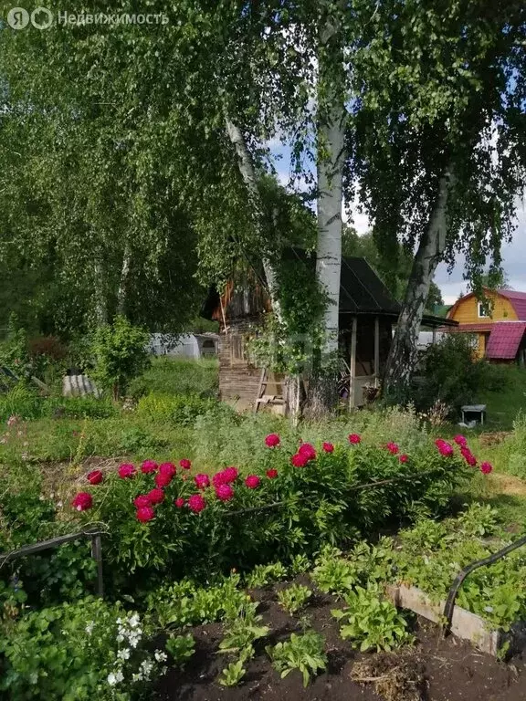 Участок в Плотниковский сельсовет, посёлок Михайловский, садовое ... - Фото 0