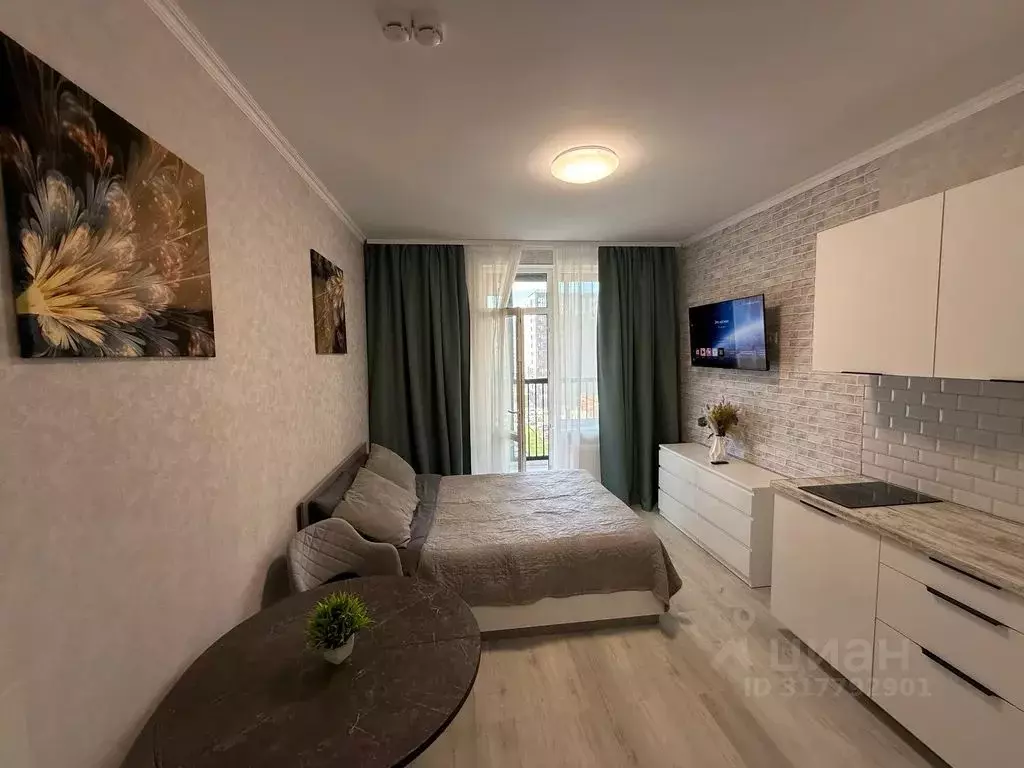 Студия Санкт-Петербург аллея Арцеуловская, 9 (23.0 м) - Фото 1