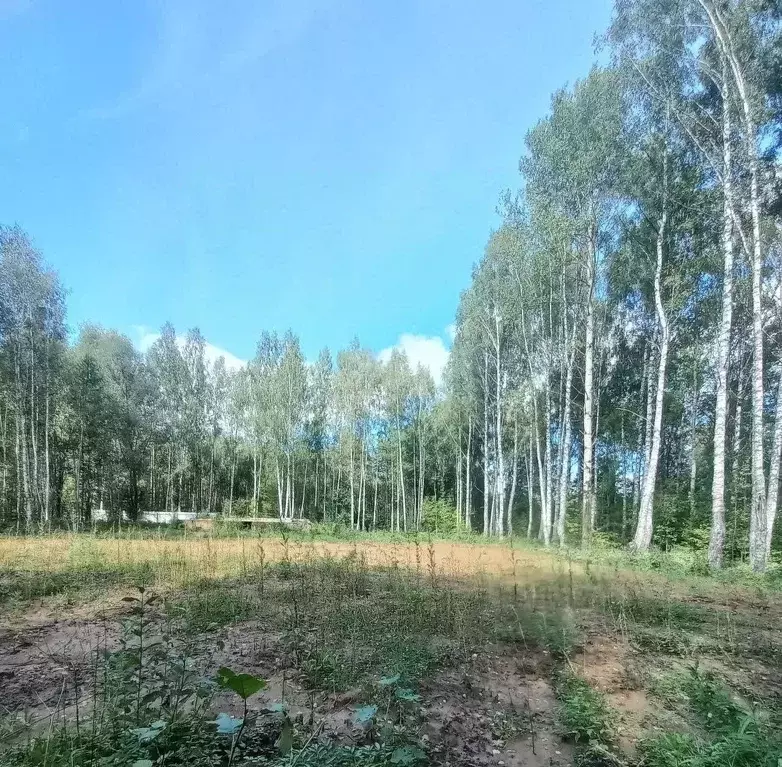 Участок в Марий Эл, Оршанский район, Марковское с/пос, с. Табашино ул. ... - Фото 1