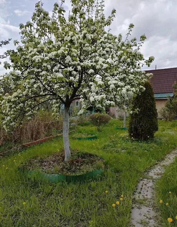 Дом в Ленинградская область, Ломоносовский район, Виллозское городское ... - Фото 1