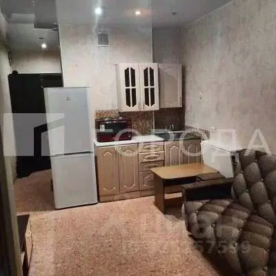 Студия Новосибирская область, Новосибирск ул. Виктора Уса, 15 (20.0 м) - Фото 1