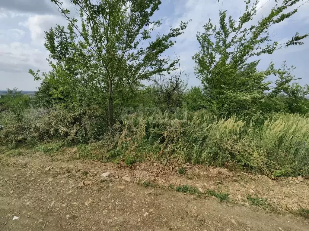 Участок в Ростовская область, Родионово-Несветайский район, ... - Фото 1