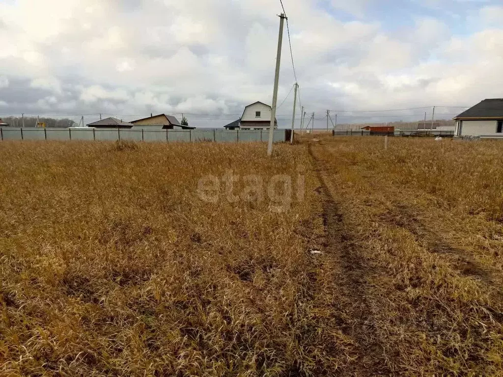 Участок в Тюменская область, Тюменский муниципальный округ, Росток кп  ... - Фото 2