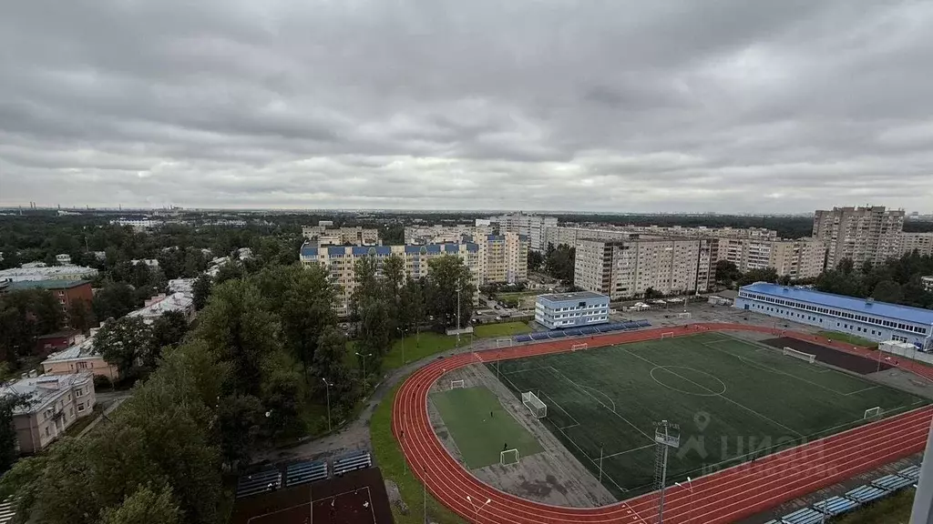 Студия Санкт-Петербург пос. Металлострой, Садовая ул., 6 (26.0 м) - Фото 2