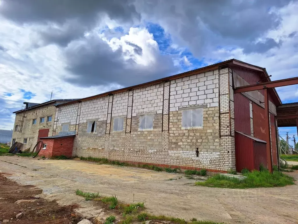 Помещение свободного назначения в Марий Эл, Медведевский район, ... - Фото 2