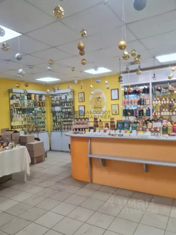 Торговая площадь в Новгородская область, Великий Новгород просп. Мира, ... - Фото 1